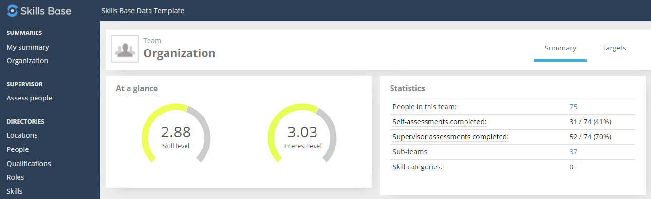 Skills Assessment Summary Dashboard